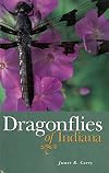 Dragonflies of Indiana