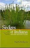 Sedges of Indiana and the Adjacent States: The Non-Carex Species