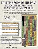 Egyptian Book Of The Dead Hieroglyph Translations Using The Trilinear Method Volume 3 Understanding The Mystic Path To Enlightenment Through Direct Language With Trilinear Deciphering Method