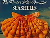 The Worlds Most Beautiful Seashells Worlds Most Series