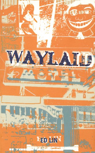 Waylaid book cover