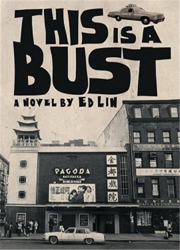 This Is a Bust book cover