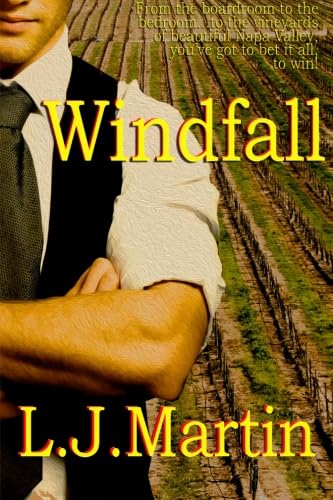 Windfall book cover