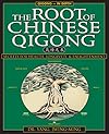 The Root of Chinese Qigong: Secrets of Health, Longevity, & Enlightenment - Yang Jwing-Ming