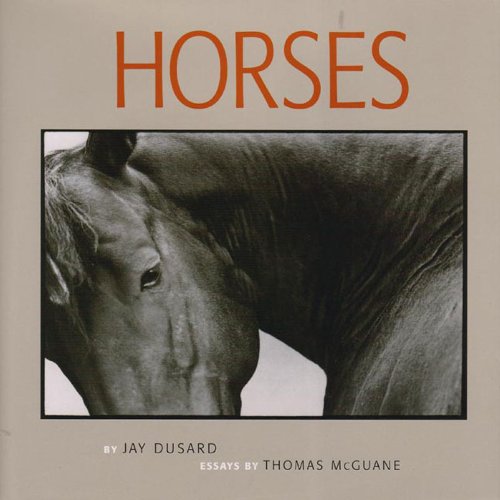Horses book cover