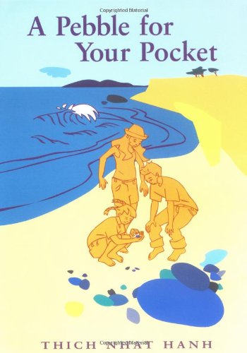 Cover of A pebble for your pocket