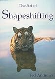 The Art Of Shapeshifting