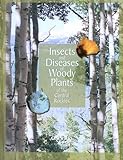 Insects And Diseases Of Woody Plants Of The Central Rockies