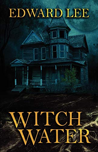 Witch Water book cover