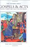 Gospels & Acts (The Navarre Bible)