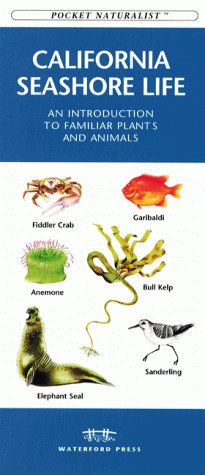 California Seashore Life book cover