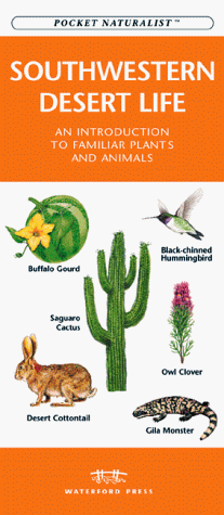 Southwestern Desert Life book cover