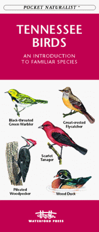 Tennessee Birds book cover