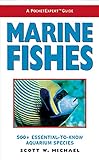 A Pocketexpert Guide To Marine Fishes 500 Essentialtoknow Aquarium Species