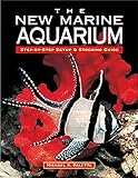 The New Marine Aquarium Stepbystep Setup Stocking Guide