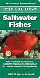 The 101 Best Saltwater Fishes How To Choose Keep Hardy Brilliant Fascinating Species That Will Thrive In Your Home Aquarium
