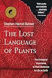 The Lost Language Of Plants The Ecological Importance Of Plant Medicine To Life On Earth