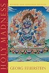 Holy Madness: The Shock Tactics and Radical Teachings of Crazy-Wise Adepts, Holy Fools and Rascal Gurus