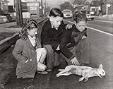 Local News Tabloid Pictures From The Los Angeles Herald Express 1936 1961