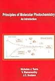 Principles Of Molecular Photochemistry An Introduction