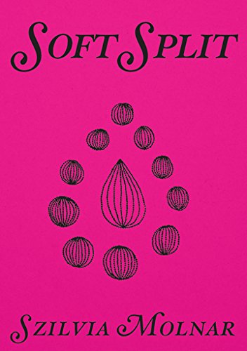 Soft Split book cover