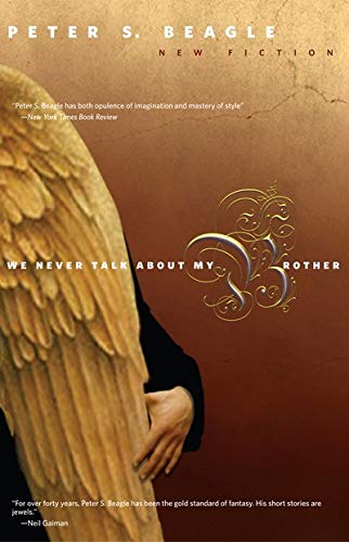 We Never Talk about My Brother book cover