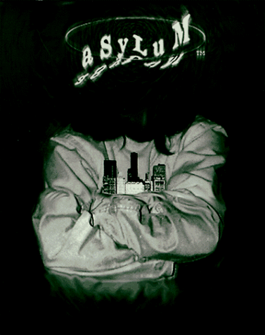 Asylum book cover