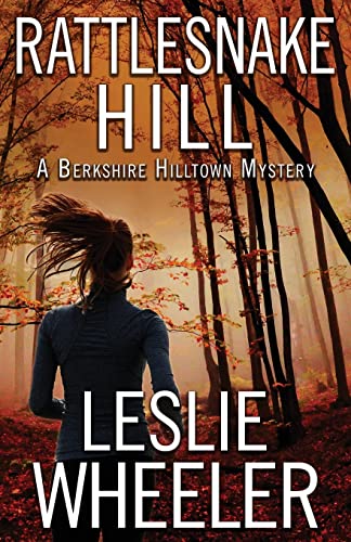 Rattlesnake Hill book cover