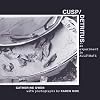 Cusp/detritus: an experiment in alleyways
