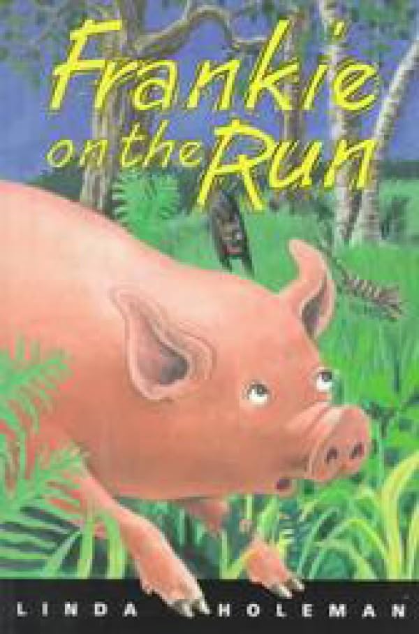 Frankie on the Run book cover