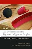 Realizing The Un Declaration On The Rights Of Indigenous Peoples Triumph Hope And Action