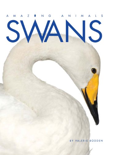 Cover of Amazing Animals