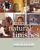 Using Natural Finishes A Stepbystep Guide Lime Earthbased Plasters Renders Paints