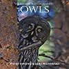 Owls (Wildlife Monographs)