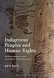 Indigenous Peoples And Human Rights International And Regional Jurisprudence