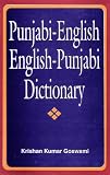 Punjabienglish Englishpunjabi Dictionary English And Punjabi Edition