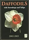 Daffodils with Snowdrops and Tulips 2002-03