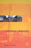 The brilliance of bioenergy : in business and in practice
