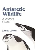 Antarctic Wildlife A Visitors Guide