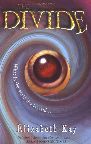 The Divide book cover