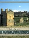 Medieval Landscapes (Landscape History After Hoskins)