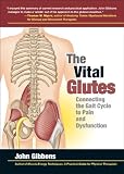 The Vital Glutes Connecting The Gait Cycle To Pain And Dysfunction