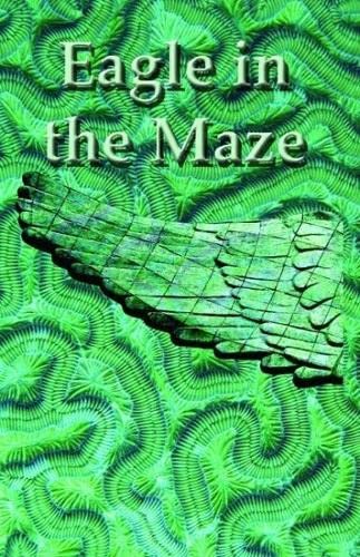 Eagle in the Maze book cover