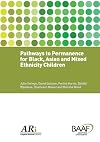 Pathways to permanence for black, Asian and mixed ethnicity children
