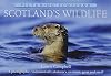 Scotland's wildlife
