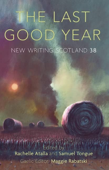 The Last Good Year book cover