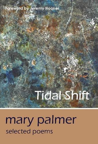 Tidal Shift book cover