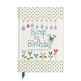Bump To Birthday Pregnancy First Year Journal