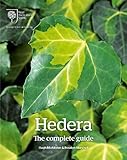 Hedera The Complete Guide