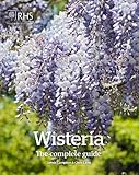 Wisteria The Complete Guide